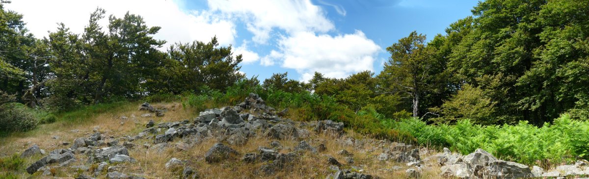 Pilotasoroko gailurra