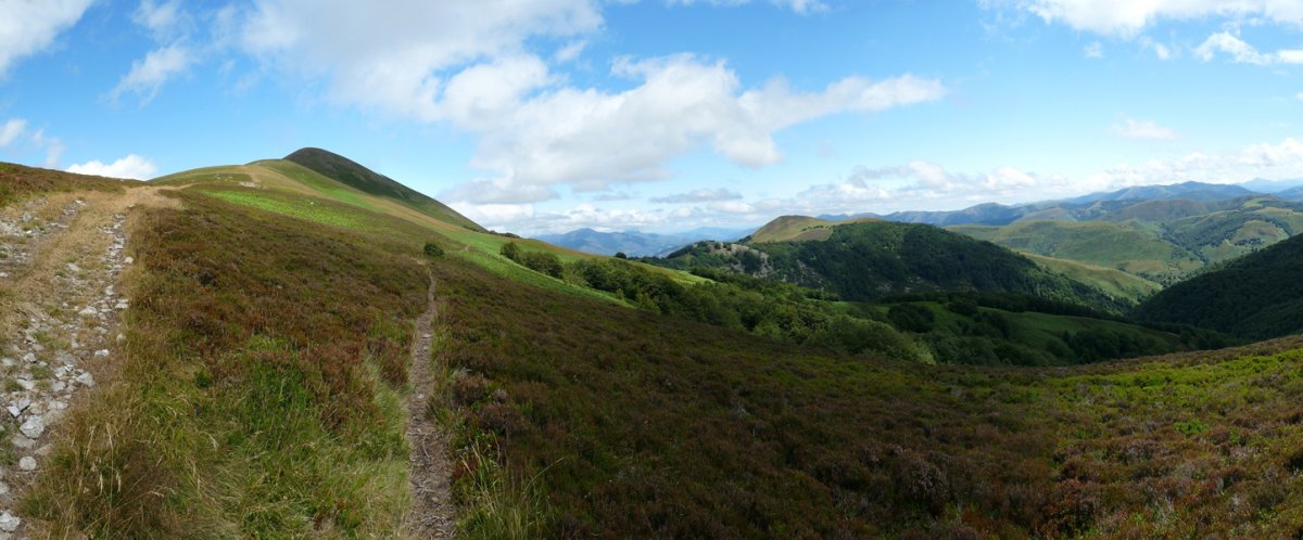 Adi eta Iturrunburu, Adatun lepoak berezita