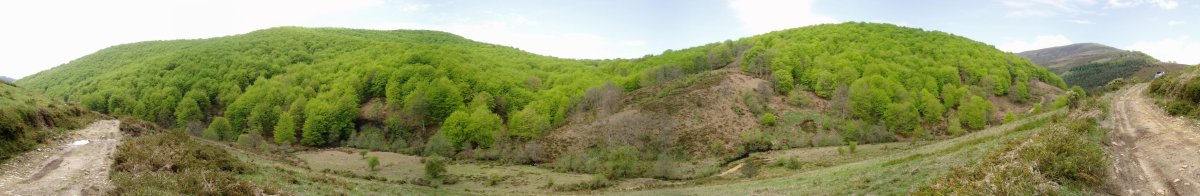 Ipar-ekialdetik ikusita