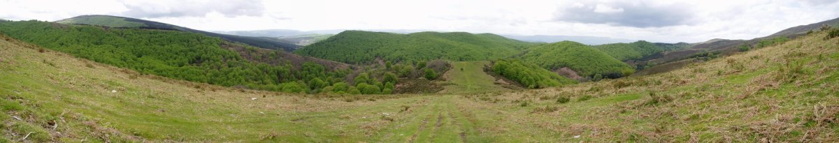 Arlobitik Usotegietara igotzen den bidetik hegoaldera ikuspegi zabala