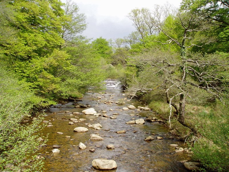 Baias erreka Arkarain