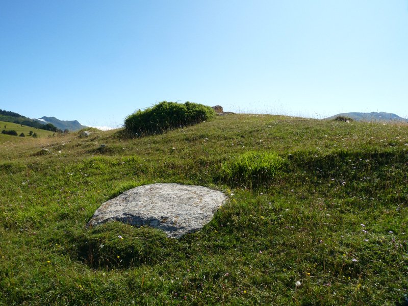 Trikuharria osatzen zuten harrietako bat