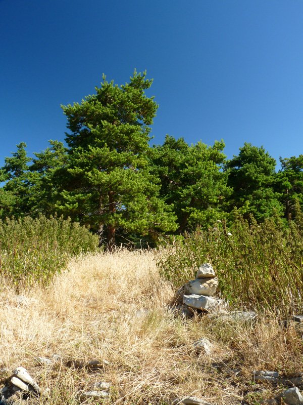 Ekialterreako gailurra