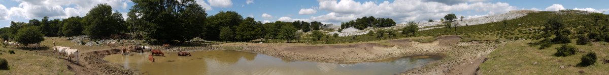 Mendebaldeko larreetako putzu baten inguruak