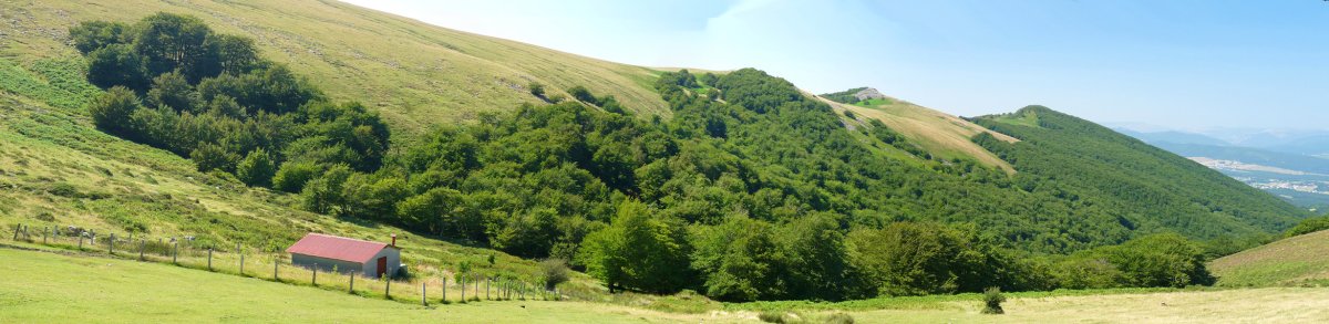 Saroia Gartzaga mendiko oinetan. Algorrieta eta Loiketa ikusten dira