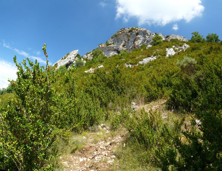 Berrondo Harria Olabeko bidetik