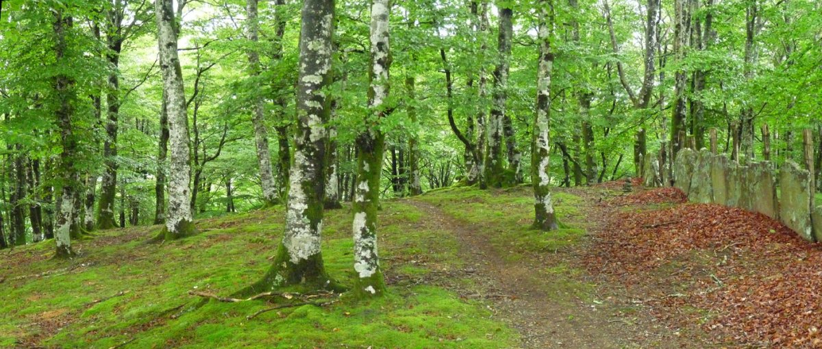 Ezkirin (Añolatz), gailurra