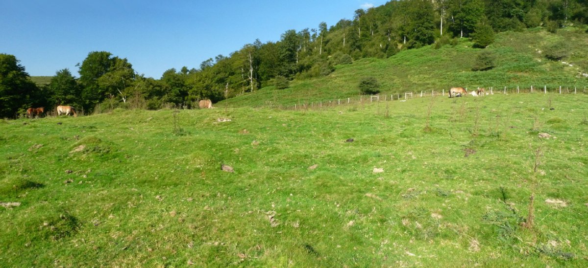 Arratakako etxola hondoak