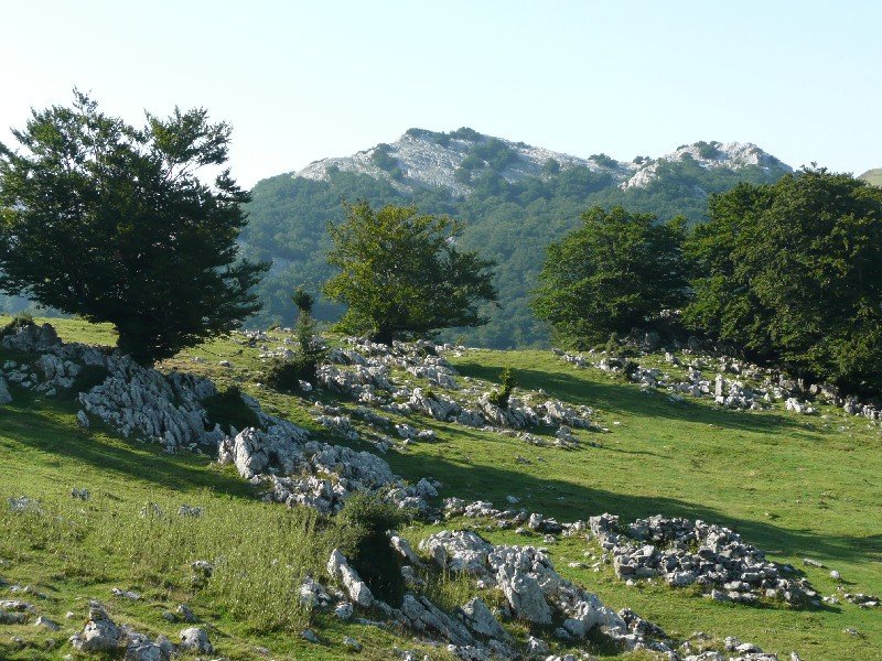 Altipitatx Ingurutik