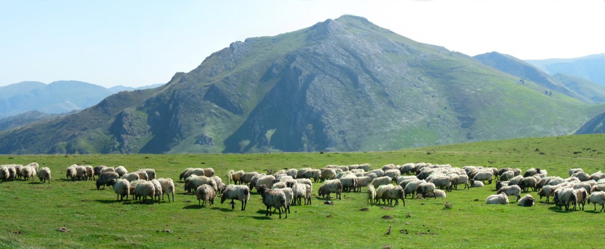 Errozate Saiarri menditik