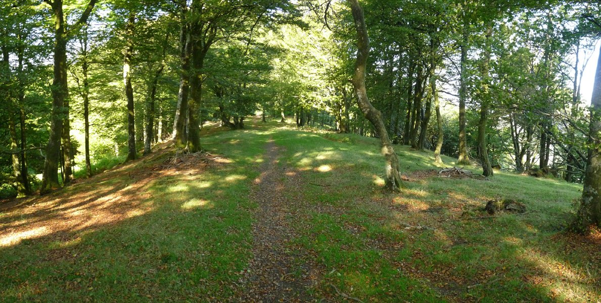 Bidexka Lertzako mendebaldeko bizkarrean 