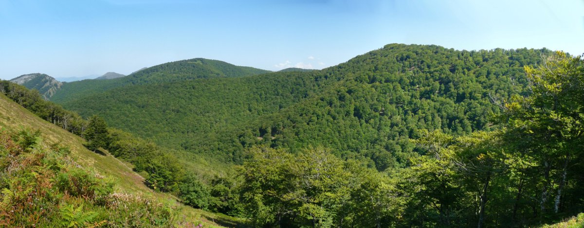 Larremear eta Lertza, pagadiak irentsita