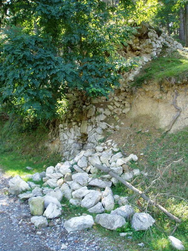 Abeletxetik gertu dagoen karobi bat