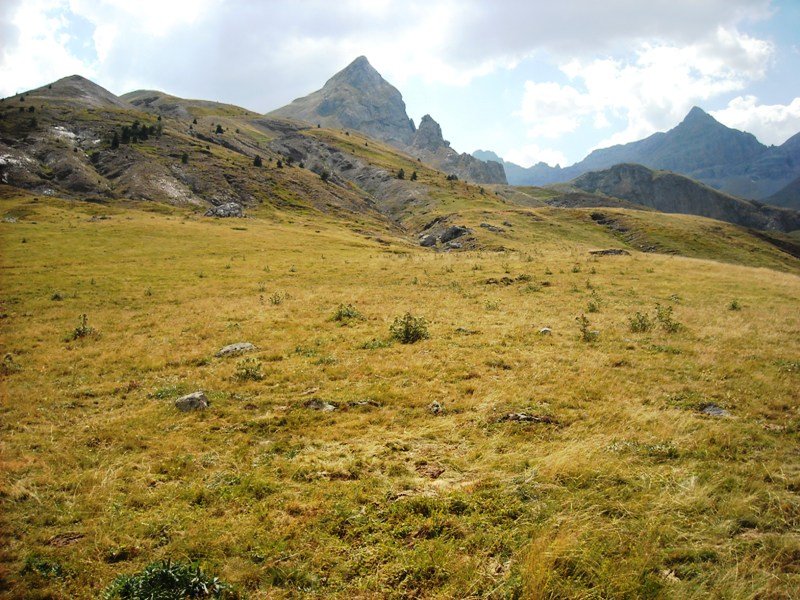 Pocetas de la Cambra