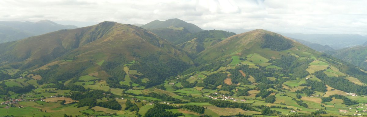 Munhoa, Adartza eta Oilarandoi Jaratik