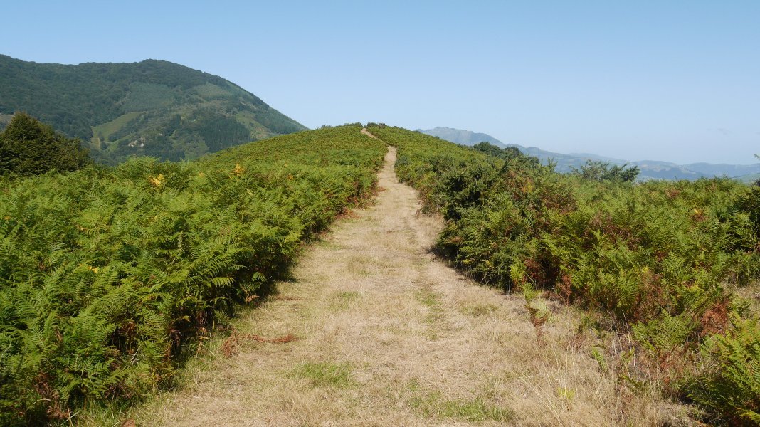 Narbaitzu aldetik Axurdario aldera doan bidea