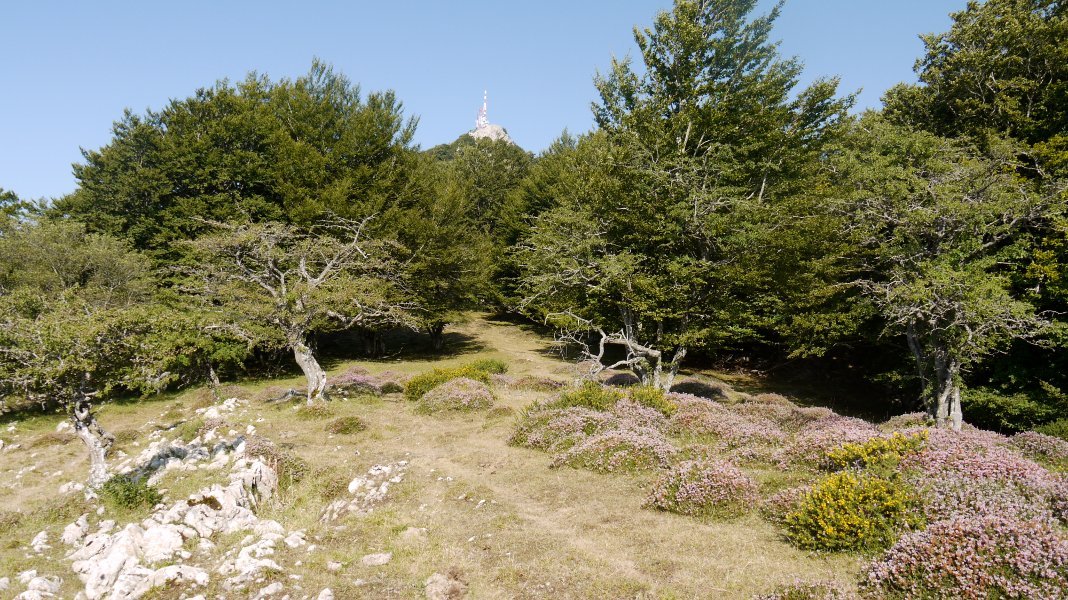 Ekialdeko bizkarretik (Madotz aldeko bidea)