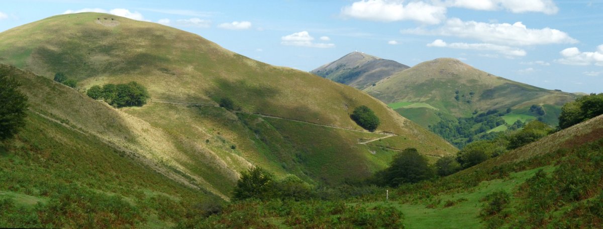 Lizartzuko konkor belartsua eta Artzamendi-Eguzkimendi hondoan