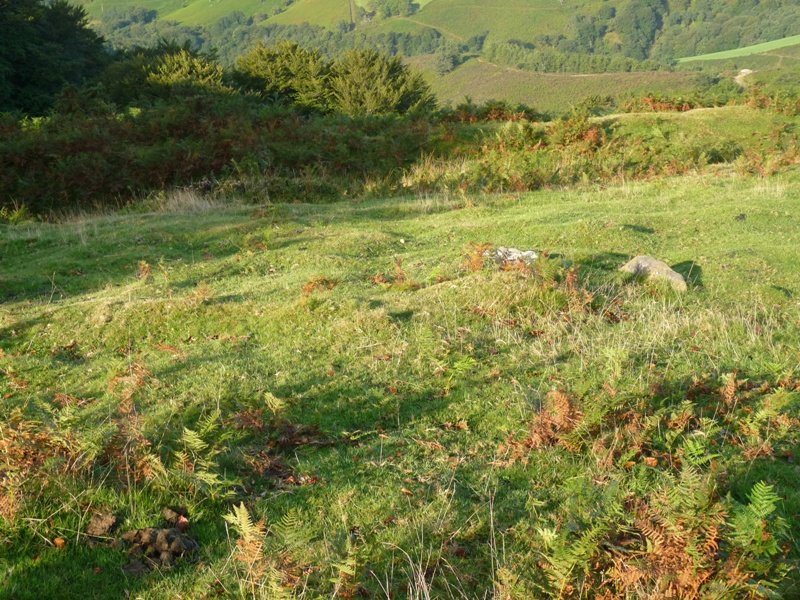 Larrakagaña-Aizalegi