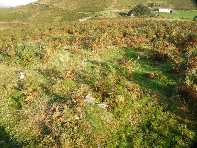 Larrakagaña-Aizalegi