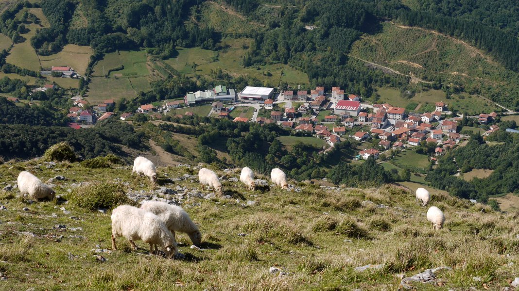 Betelu, Hegoaldeko bizkarretik