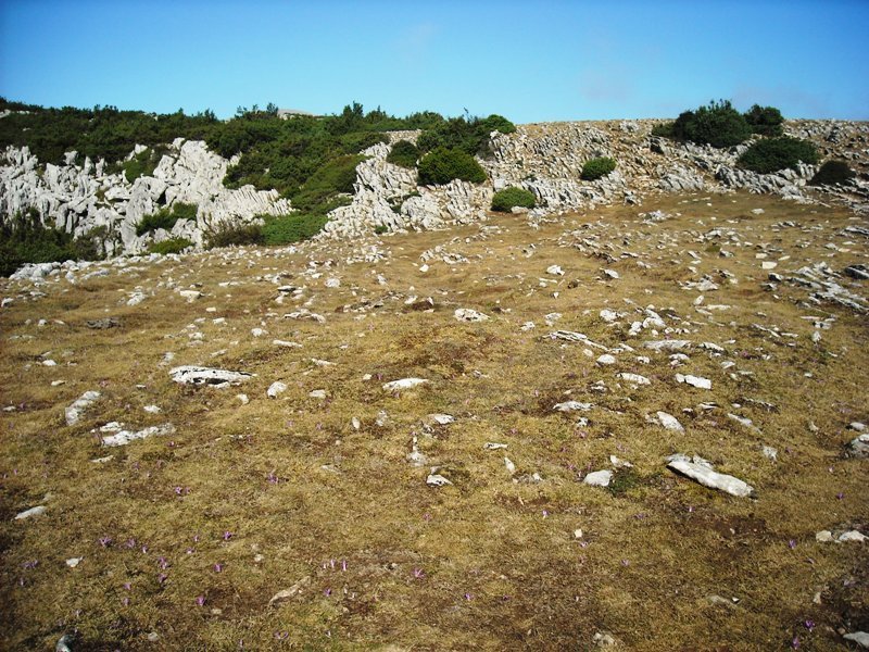 Irunsarioko Bidea ipar