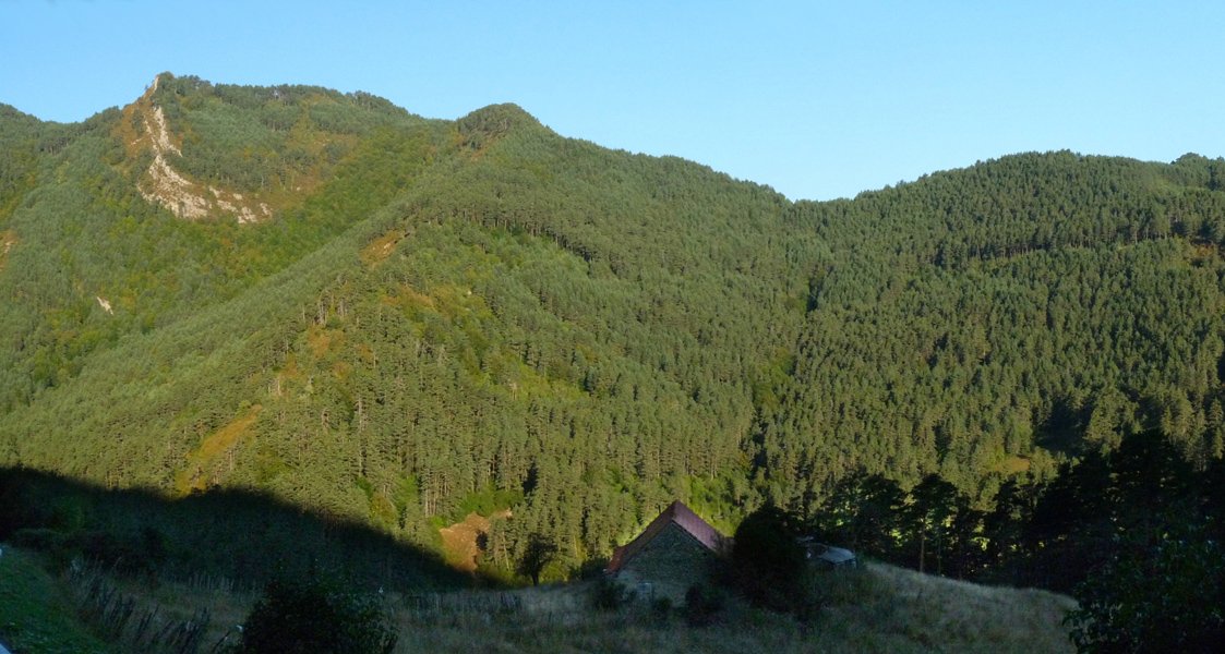 Armotoa Belabartzeko errepidetik