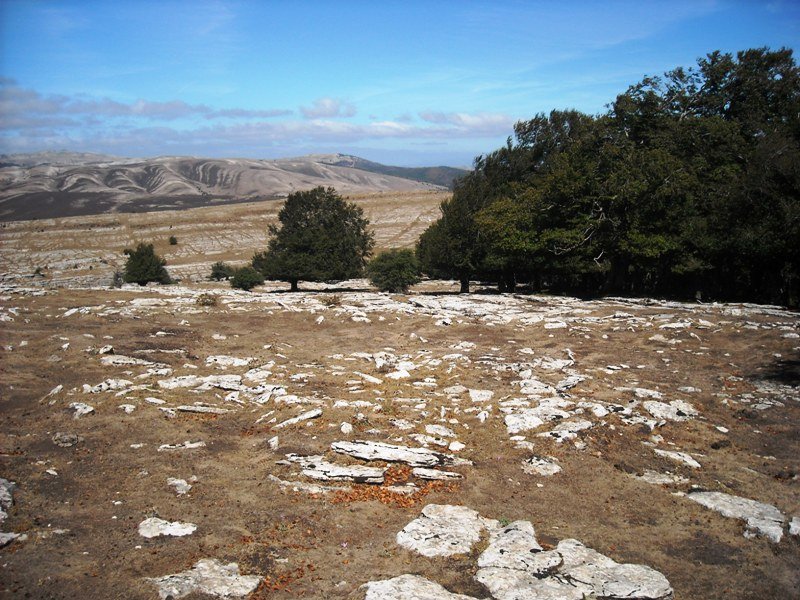 Larrenganbelako Aldapa