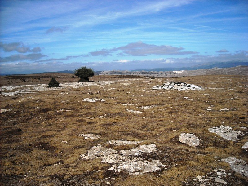 Sima de los Carneros