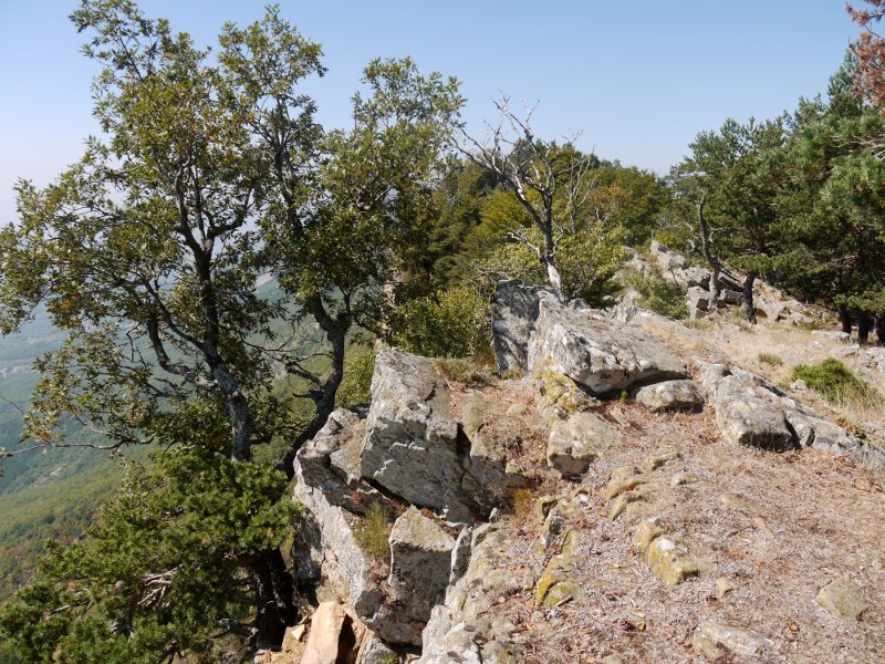 Tontorraren inguruak