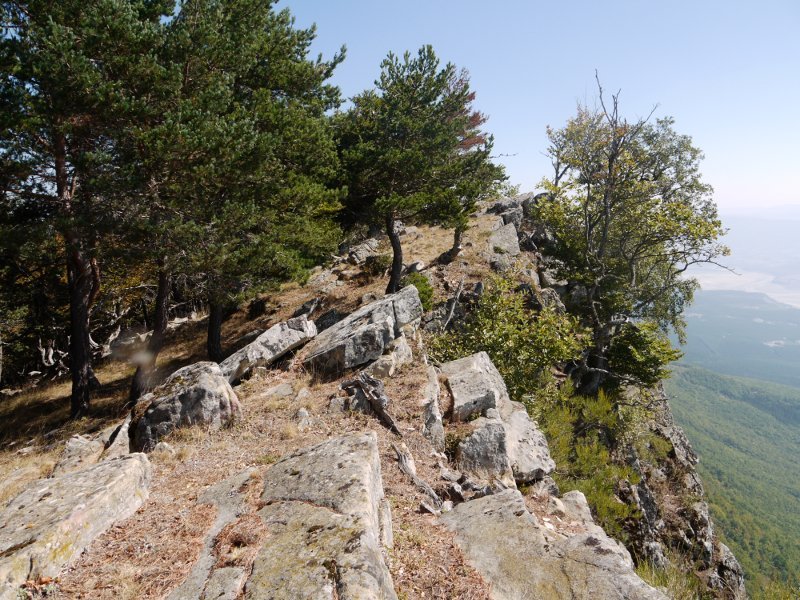 Tontorraren inguruak