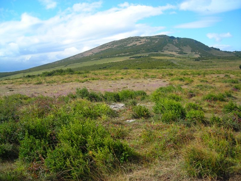 Majada Sarbil ekialde 1