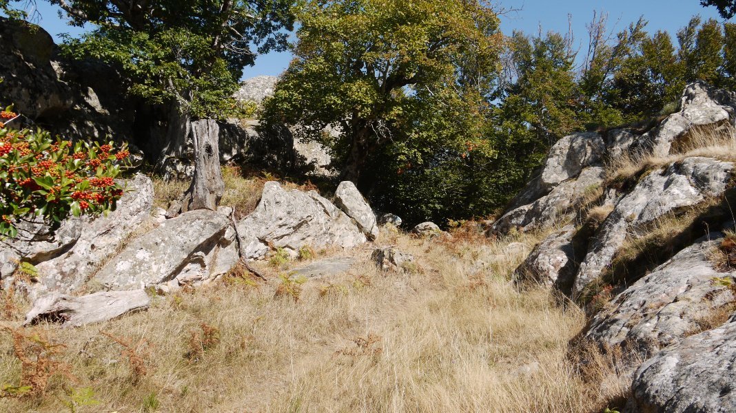 Leku honetan utzi behar dugu xenda tontorrera jotzeko.