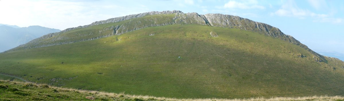 Behorlegi Hauskoatik