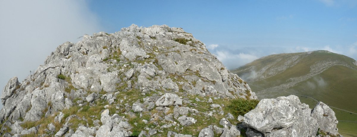 Behorlegiko gandorra