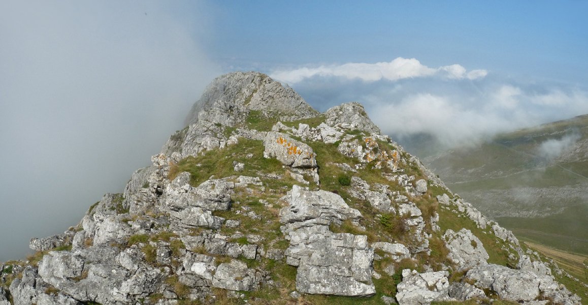 Behorlegiko gandorra