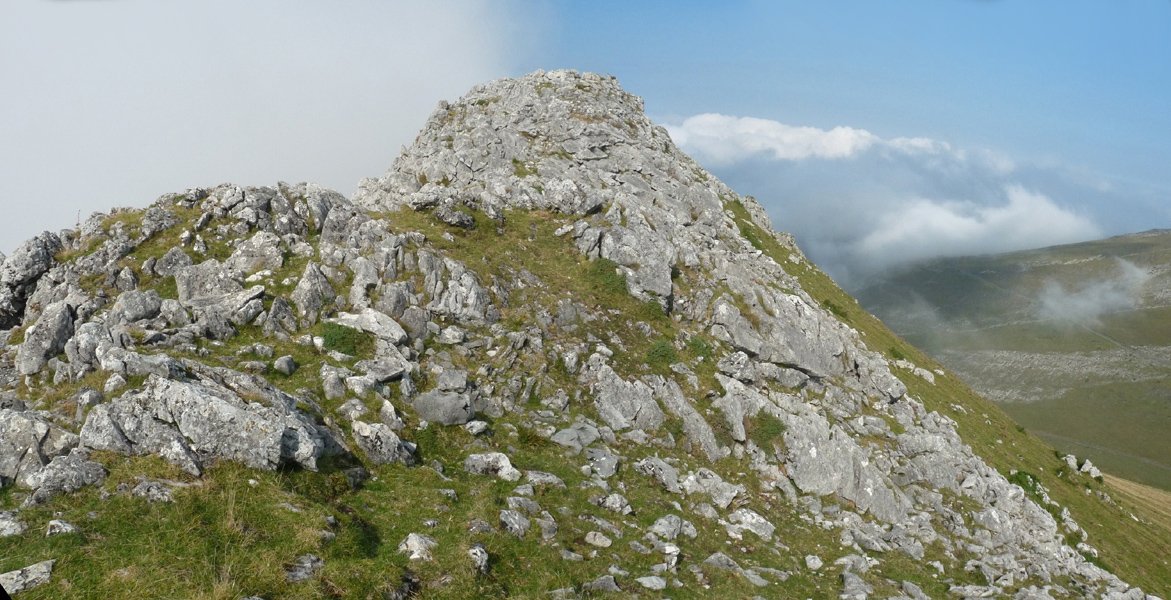 Behorlegiko gailurra