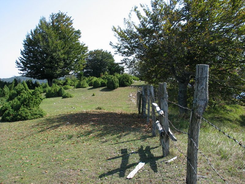 Ekialdeko gandorreko bidea