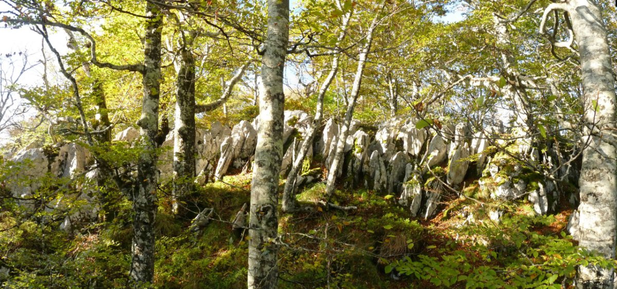 Harritxuriko gainaren inguruak