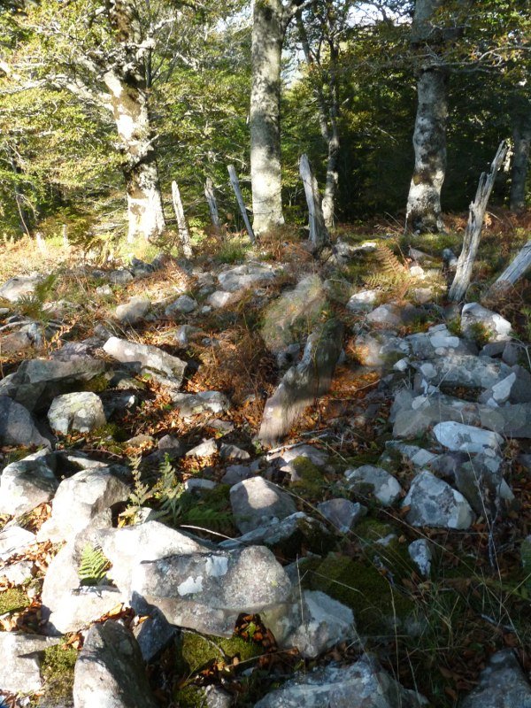 Arbaieta Mendebal (Arballeta 3)