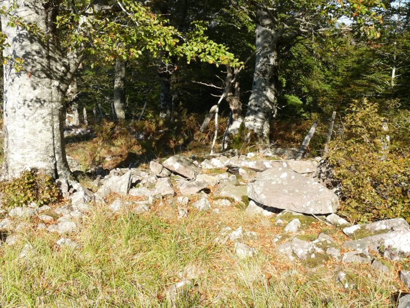 Arbaieta Ekialde (Arballeta 4)