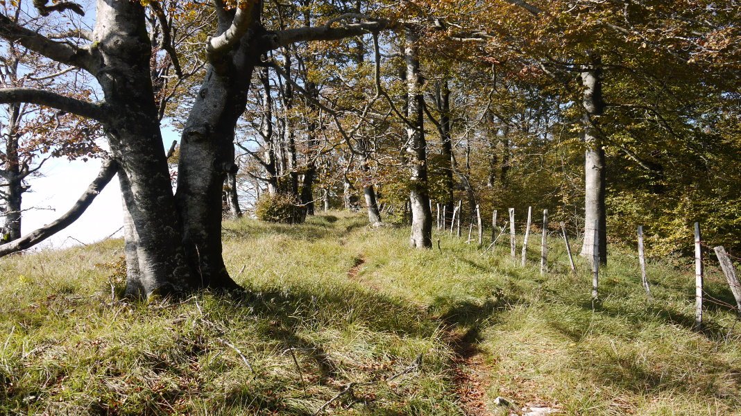 Tontorraren inguruak