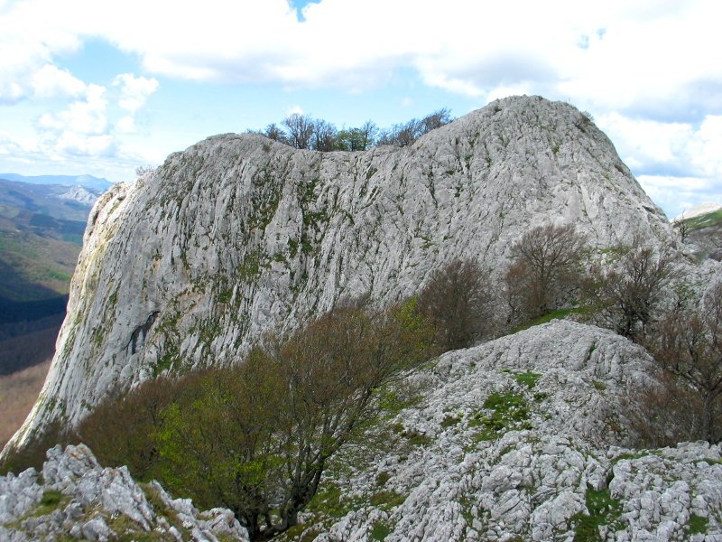 Ekialdeko isurialdea