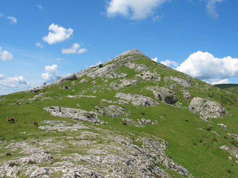 Ekialdeko isurialdea