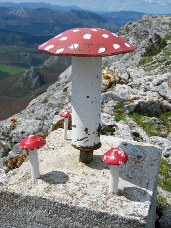 Bigarren buzoia