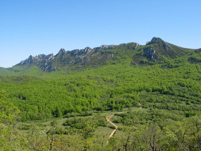 Recilla eta Palomares Semendia aldetik