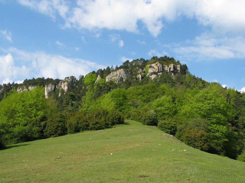 Castro Mayuela, mendebaldeko gandorrean