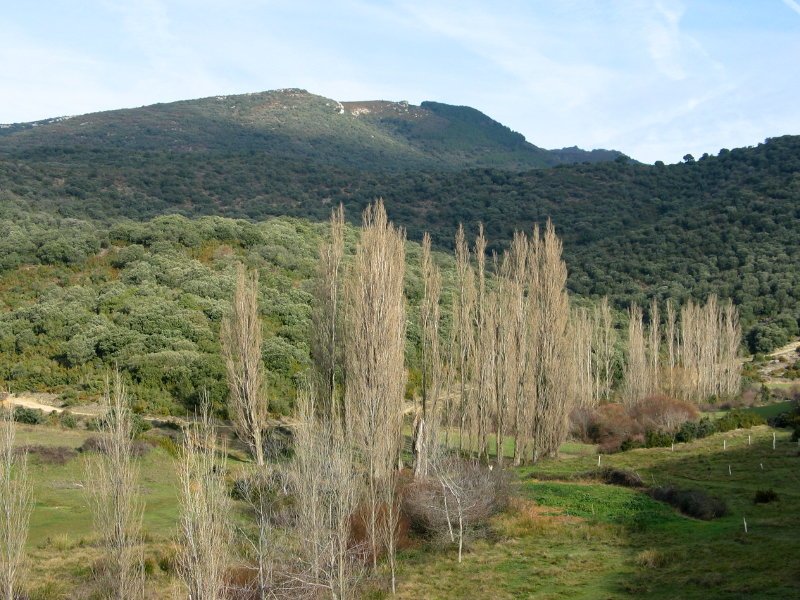 Untzue eta Alaitz arteko bailararen ikuspegia