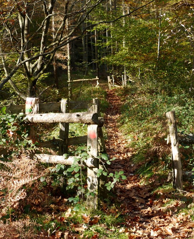 Elurretxe aldeko pasarte bat