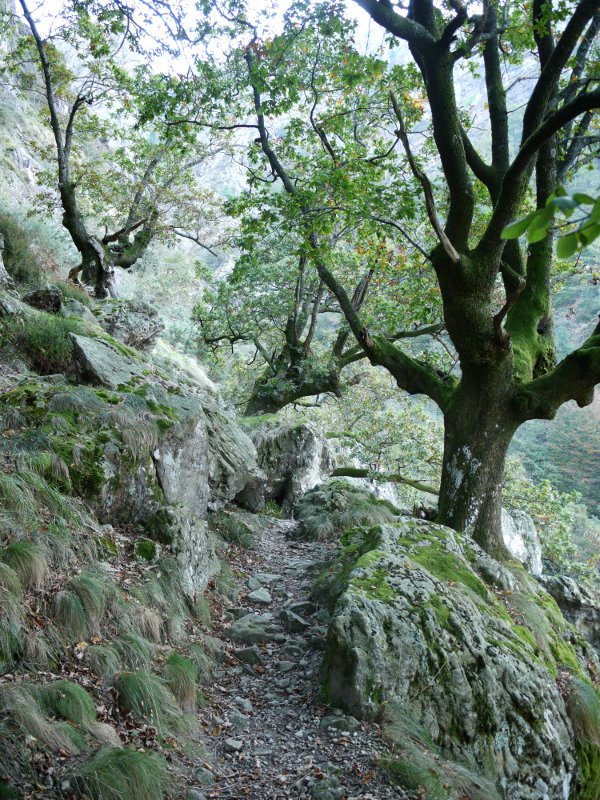 Minetako isurialdeko bidea